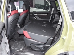 2022款 2.0T 柴油四驱亚马逊版 5座