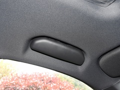 2022款 2.0T 柴油四驱亚马逊版 5座