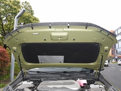 2022款 2.0T 柴油四驱亚马逊版 5座