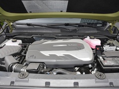 2022款 2.0T 柴油四驱亚马逊版 5座