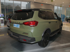 2022款 2.0T 柴油四驱亚马逊版 7座