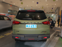 2022款 2.0T 柴油四驱亚马逊版 7座