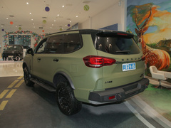 2022款 2.0T 柴油四驱亚马逊版 7座