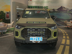 2022款 2.0T 柴油四驱亚马逊版 7座