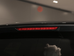 2022款 2.0T 柴油四驱亚马逊版 7座