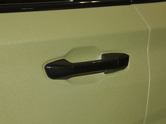 2022款 2.0T 柴油四驱亚马逊版 7座