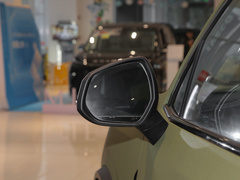 2022款 2.0T 柴油四驱亚马逊版 7座