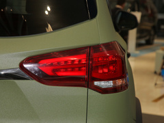 2022款 2.0T 柴油四驱亚马逊版 7座