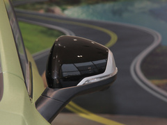 2022款 2.0T 柴油四驱亚马逊版 7座