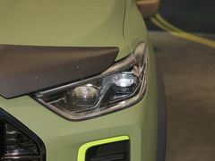 2022款 2.0T 柴油四驱亚马逊版 7座