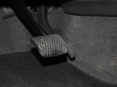 2022款 2.0T 柴油四驱亚马逊版 7座