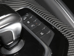 2022款 2.0T 柴油四驱亚马逊版 7座