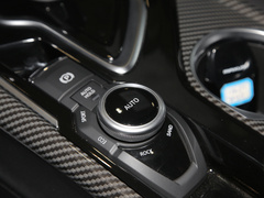 2022款 2.0T 柴油四驱亚马逊版 7座