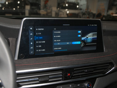 2022款 2.0T 柴油四驱亚马逊版 7座