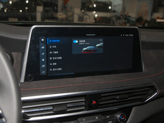 2022款 2.0T 柴油四驱亚马逊版 7座