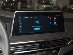 2022款 2.0T 柴油四驱亚马逊版 7座