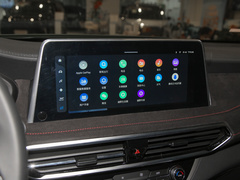 2022款 2.0T 柴油四驱亚马逊版 7座