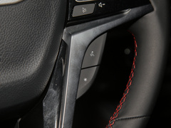 2022款 2.0T 柴油四驱亚马逊版 7座