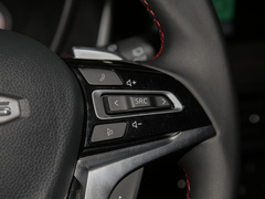 2022款 2.0T 柴油四驱亚马逊版 7座