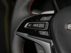 2022款 2.0T 柴油四驱亚马逊版 7座
