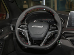 2022款 2.0T 柴油四驱亚马逊版 7座