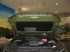 2022款 2.0T 柴油四驱亚马逊版 7座