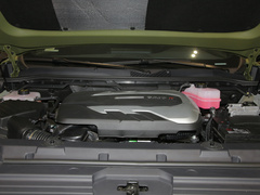 2022款 2.0T 柴油四驱亚马逊版 7座