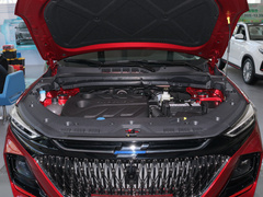 2022款 1.5T 蓝鲸自动红版