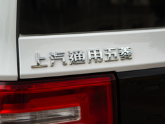 2022款 自在款 三元锂