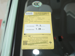 2022款 国民版 多彩限量款（快充版）磷酸铁锂