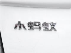 2022款 改款 甜粉款 半糖版 三元锂 30kW 301km
免税
