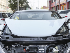 2022款 改款 甜粉款 半糖版 三元锂 30kW 301km
免税

