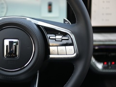 2022款 3.0T 黑武士限定版 5座