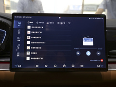 2022款 DM-p 202KM 四驱旗舰型
