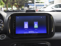 2022款  311km元气啵啵版