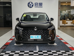 2022款 260T 黑马版・爱豆