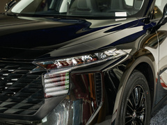 2022款 260T 黑马版・爱豆