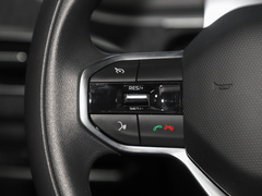 2022款 400KM 蓝莓Pro