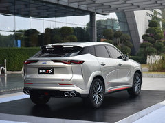 2023款 蓝鲸 2.0T 自动智行型