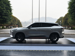 2023款 蓝鲸 2.0T 自动智行型