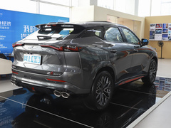 2023款 蓝鲸 2.0T 自动智行型