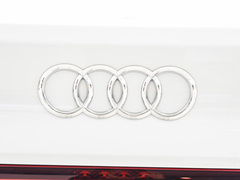 2022款 45 TFSI quattro S-line 圣骑士