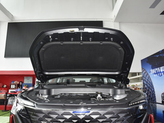 2022款 蓝鲸 1.5T DCT智领型