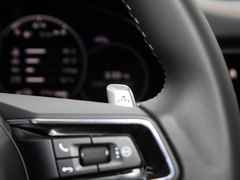2023款 Panamera 4 E-Hybrid 2.9T