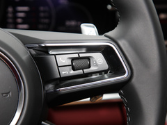2023款 Panamera 4 E-Hybrid 2.9T