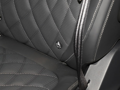 2022款 2.0T 星河七座版