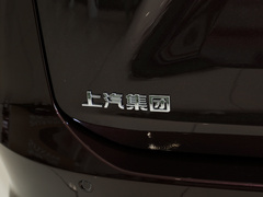 2022款 2.0T 星际七座版