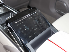 2022款 3.0T H9+ 卓越定制版