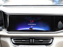 2022款 3.0T H9+ 卓越定制版