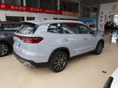 2022款 290T 两驱浩瀚版 5座